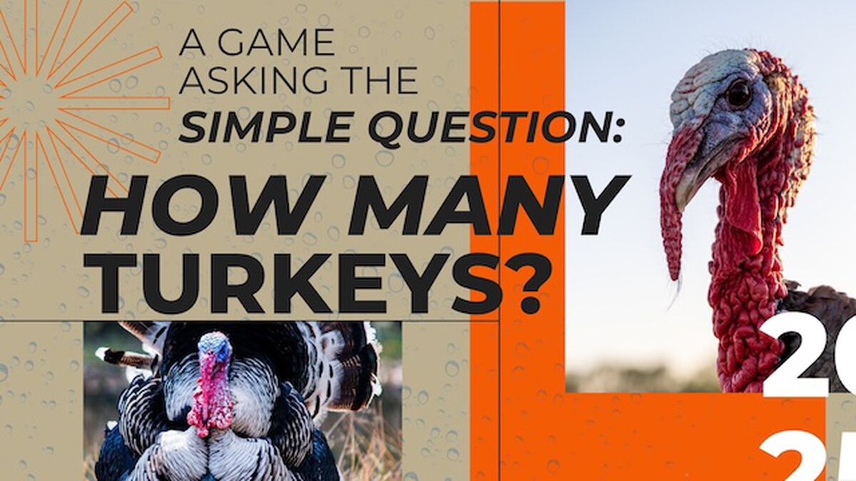 How Many Turkeys? image number null